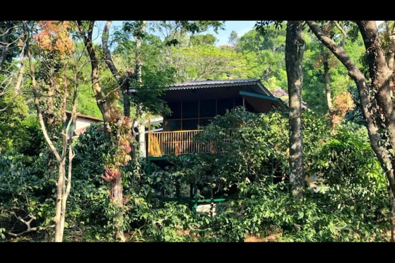 Hill Valley Farm House Nelliyampathy Экстерьер фото