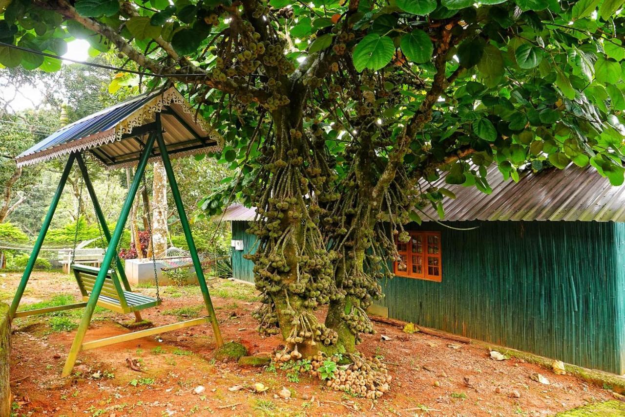 Hill Valley Farm House Nelliyampathy Экстерьер фото