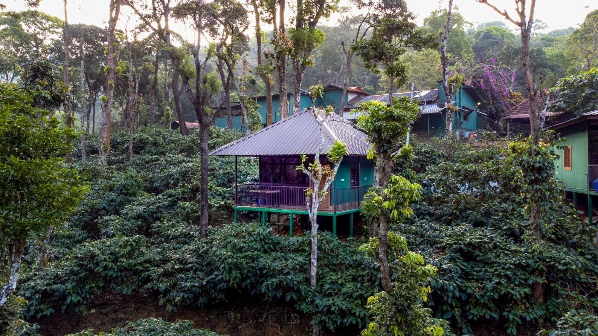 Hill Valley Farm House Nelliyampathy Экстерьер фото